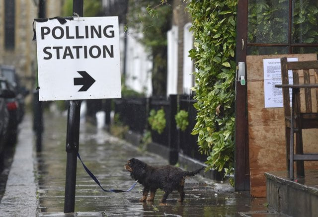 a dog waits for its owner outside a polling station for the referendum on the european union in west london britain june 23 2016 photo reuters a dog waits for its owner outside a polling station for the referendum on the european union in west london britain june 23 2016 photo reuters