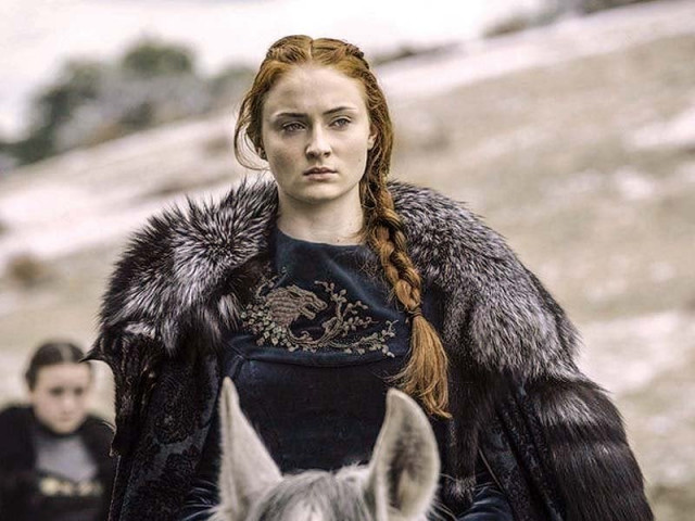 sansa avenged her family and her honour by feeding ramsay to the dogs alive in battle of the bastards photo file