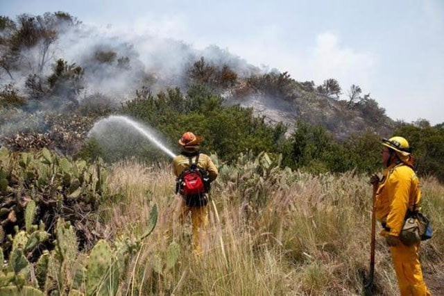 firefighters mop up after helicopters dropped water on a fire in the san gabriel mountains near azusa california u s june 21 2016 photo reuters firefighters mop up after helicopters dropped water on a fire in the san gabriel mountains near azusa california u s june 21 2016 photo reuters