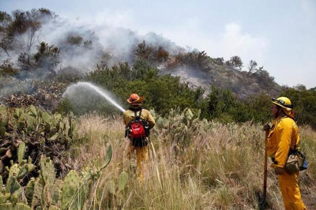 firefighters mop up after helicopters dropped water on a fire in the san gabriel mountains near azusa california u s june 21 2016 photo reuters