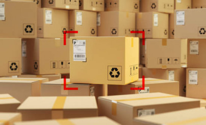 committee to suggest reforms in ppra