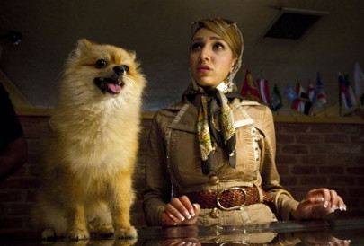 iran cracks down on vulgar western dog owners