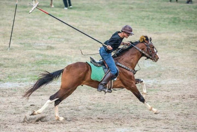 talented subhani believes polo is on the cusp of international fame and when it does he wants to be the one to lead pakistan photo courtesy rohan hussain subhani talented subhani believes polo is on the cusp of international fame and when it does he wants to be the one to lead pakistan photo courtesy rohan hussain subhani