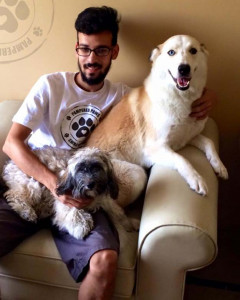 dog whispering couple brings canine care to your doorstep in karachi dog whispering couple brings canine care to your doorstep in karachi