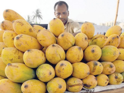 mango exports likely to increase to 120 000 tons