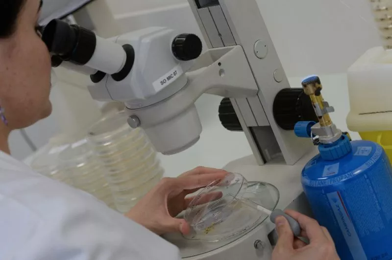 in may 2016 the centers for disease control and prevention announced the establishment of a network of labs that would respond quickly to antibiotic resistant superbugs in the us photo afp in may 2016 the centers for disease control and prevention announced the establishment of a network of labs that would respond quickly to antibiotic resistant superbugs in the us photo afp