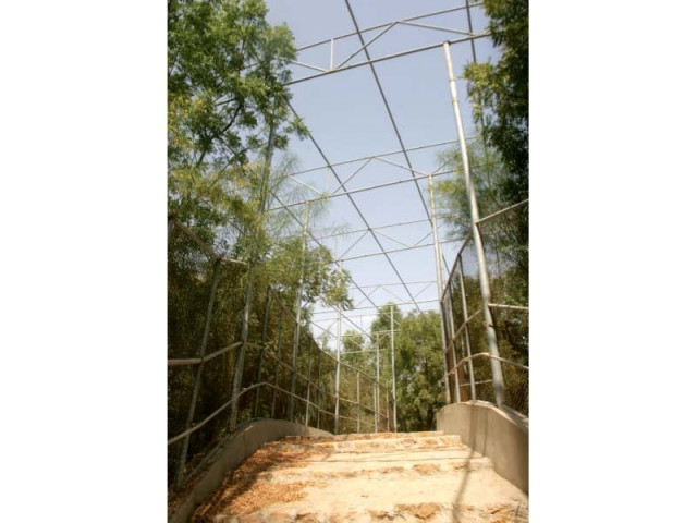 so far safari park in karachi has only enclosed the area for the birds aviary photos athar khan express so far safari park in karachi has only enclosed the area for the birds aviary photos athar khan express
