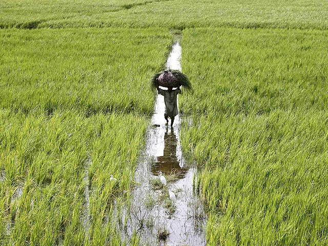 says it is the key to alleviating poverty in pakistan photo reuters file