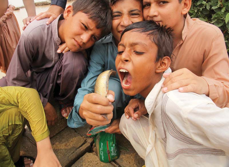 a group of children play with a fish they caught in the water accumulated in block 5 of saadi garden after the downpour earlier this week photos athar khan express