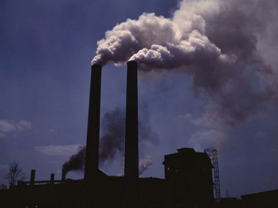 air pollution may damage your kidneys