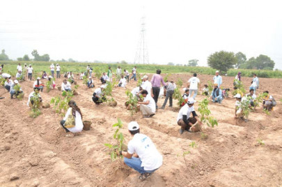 fighting global warming tree plantation target for spring exceeded by 55m fighting global warming tree plantation target for spring exceeded by 55m