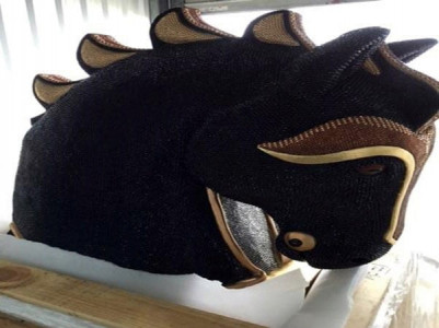 new zealand police find record cocaine haul in horse s head new zealand police find record cocaine haul in horse s head