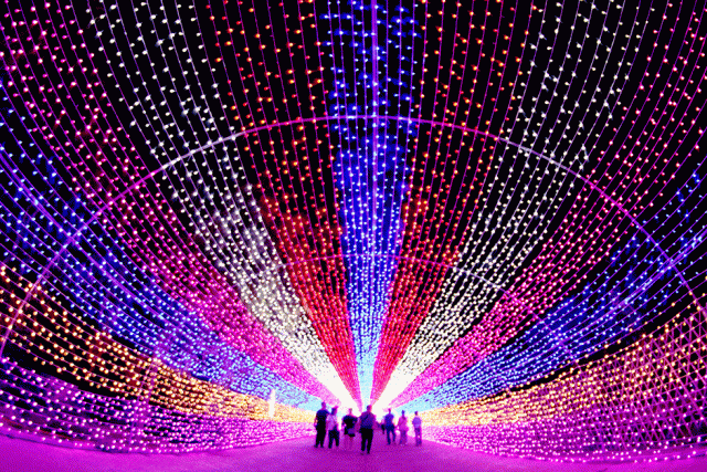 tourists walk through a lantern installation in zhangjiakou hebei province china photo reuters