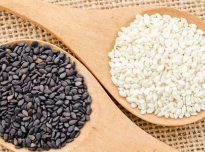 pakistan targets 10 000 tonnes sesame exports to china in 2025 pakistan targets 10 000 tonnes sesame exports to china in 2025