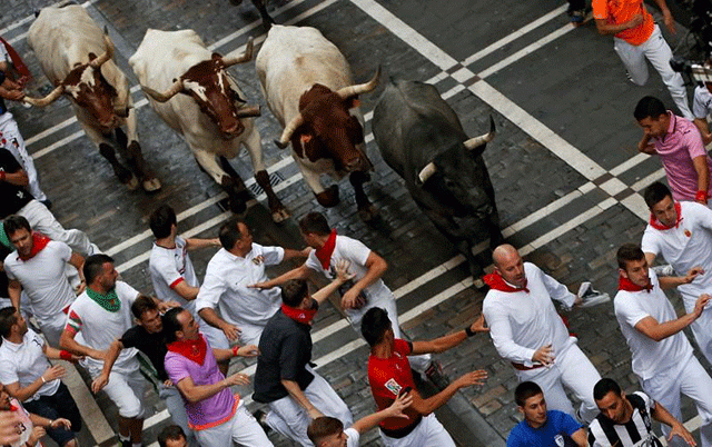 runners lead a jose escolar bull and steers during the third running of the bulls at the san fermin festival in pamplona northern spain july 9 2016 photo reuters