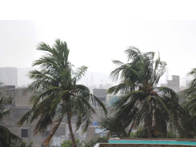 the disappearance of trees in the city not only affects our source of oxygen but reduces chance of rainfall during the summer as well photo athar khan express the disappearance of trees in the city not only affects our source of oxygen but reduces chance of rainfall during the summer as well photo athar khan express