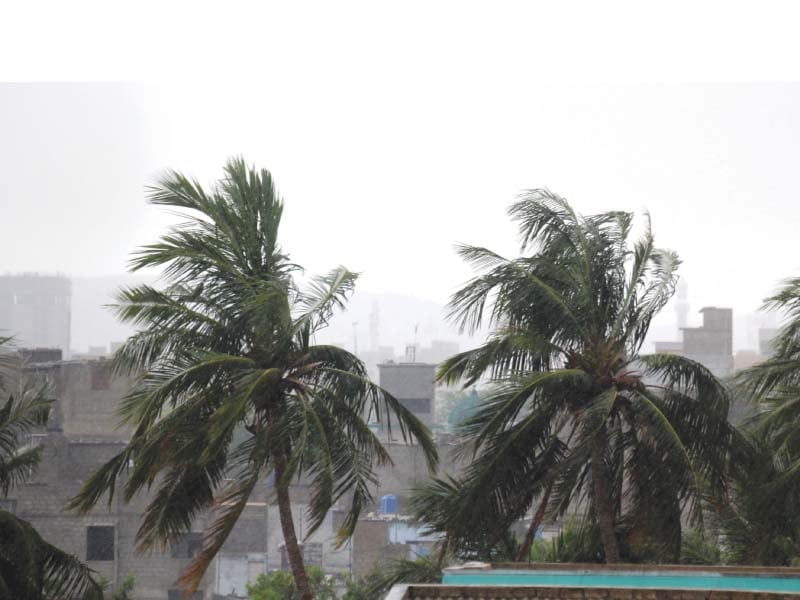 the disappearance of trees in the city not only affects our source of oxygen but reduces chance of rainfall during the summer as well photo athar khan express