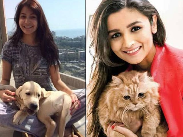 the actors have been vocal about animal abuse previously too photo file the actors have been vocal about animal abuse previously too photo file