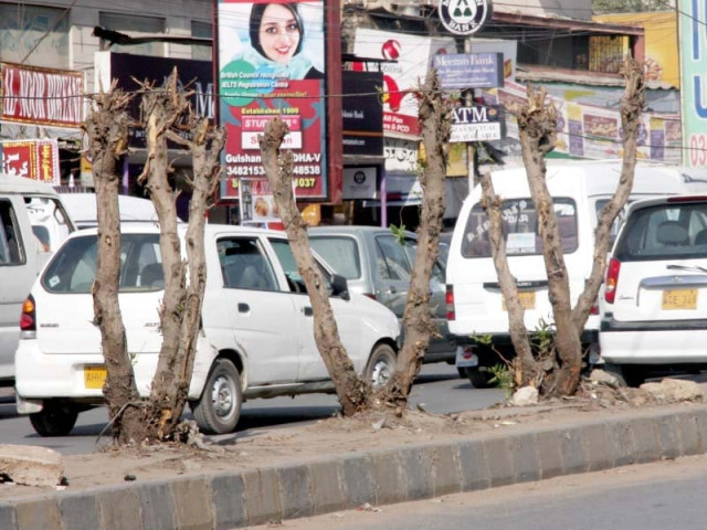 citizens have the right to complain to authorities about illegal tree cutting and preserve the city s greenery photo athar khan express citizens have the right to complain to authorities about illegal tree cutting and preserve the city s greenery photo athar khan express