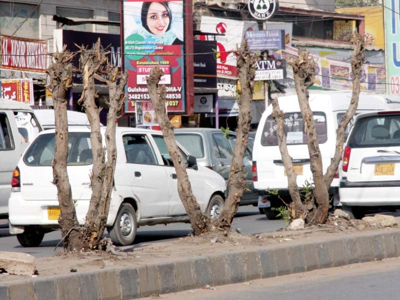 citizens have the right to complain to authorities about illegal tree cutting and preserve the city s greenery photo athar khan express