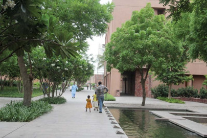 the case for urban trees greenery can improve public health in karachi the case for urban trees greenery can improve public health in karachi