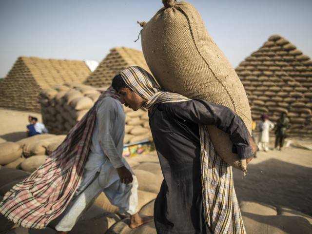 a wheat flour trader in peshawar haji niaz told the express tribune a majority of afghans like red wheat flour therefore it could be hard for the afghan government to prevent people there from using wheat flour imported from pakistan photo reuters