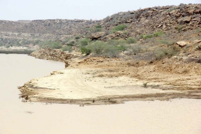 tragic picnic four of a family drown in thaddo dam tragic picnic four of a family drown in thaddo dam