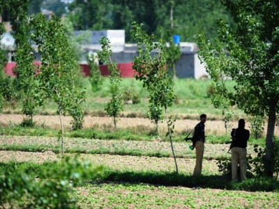 the insignificance of judicial commissions the insignificance of judicial commissions