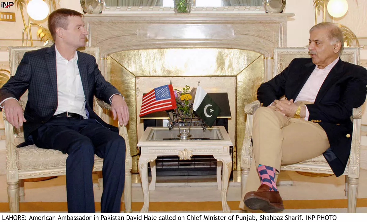 the cm said that the sincere efforts by the government would prove successful in resolving the energy crisis photo inp the cm said that the sincere efforts by the government would prove successful in resolving the energy crisis photo inp