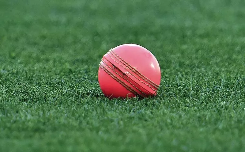 players will have the chance to play two domestic games with a pink ball to prepare for day night tests against south africa and pakistan photo afp players will have the chance to play two domestic games with a pink ball to prepare for day night tests against south africa and pakistan photo afp