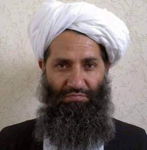 afghan taliban dismiss reports of slowdown since change of leader afghan taliban dismiss reports of slowdown since change of leader