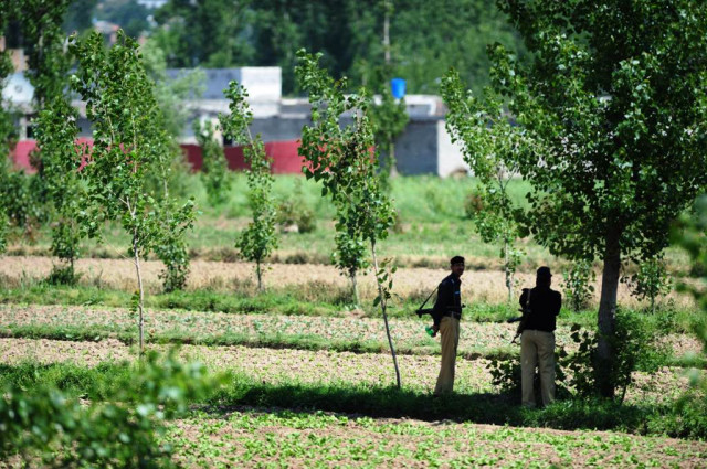 when contacted abbottabad ac mir raza ozgan expressed his ignorance regarding the development he said the land was the property of the provincial government photo afp file when contacted abbottabad ac mir raza ozgan expressed his ignorance regarding the development he said the land was the property of the provincial government photo afp file