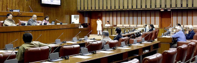 defeating coup bid senate gives a thumbs up to turkey govt