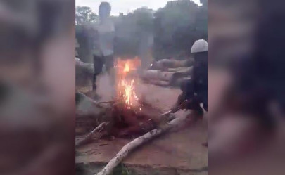 minor boys arrested for burning three puppies alive in india minor boys arrested for burning three puppies alive in india