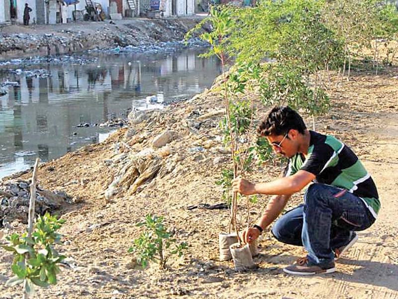 a man plants a tree as part of the green karachi campaign launched by the national forum for environment and health on thursday photo file