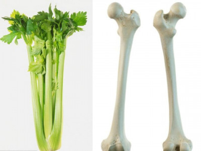 9 foods that resemble body parts 9 foods that resemble body parts