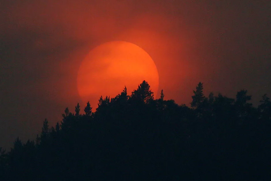 the sun sets over a forest which is shrouded in smoke from the siberian taiga wildfire outside krasnoyarsk russia photo reuters