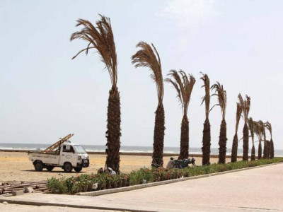 dha to plant 130 000 saplings dha to plant 130 000 saplings
