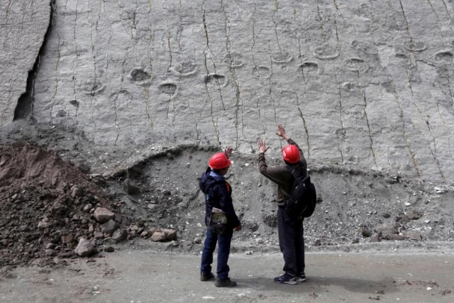 dinosaurs tracks in cal orcko paleontological site photo reuters dinosaurs tracks in cal orcko paleontological site photo reuters