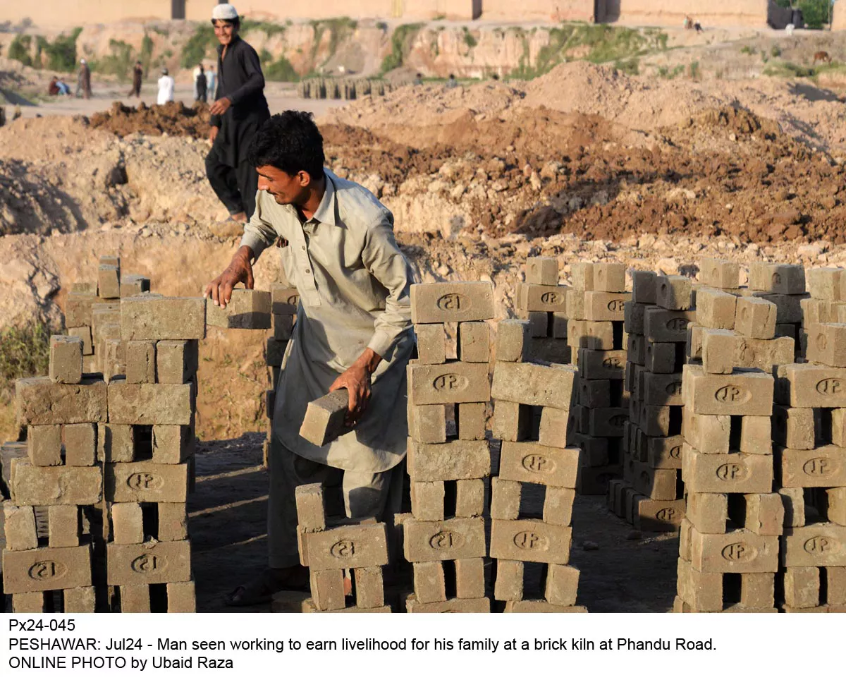 he tribal areas recorded a growth of only 4 8 as compared to the 21 7 for the provinces photo online he tribal areas recorded a growth of only 4 8 as compared to the 21 7 for the provinces photo online