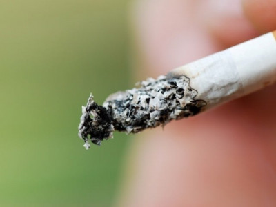 1hcy16 ptc s profit up 49 per cent