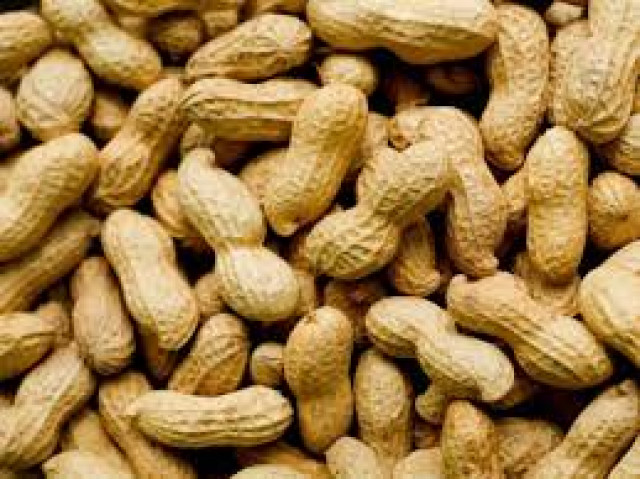 the study examines the link between nut intake and inflammation photo file the study examines the link between nut intake and inflammation photo file