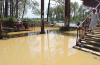 mismanagement lack of sanitation measures irks g 7 1 residents