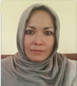sole afghan woman governor in a man s world