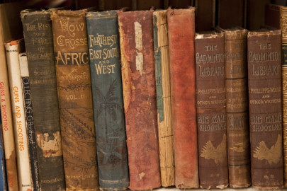 diary of a book lover