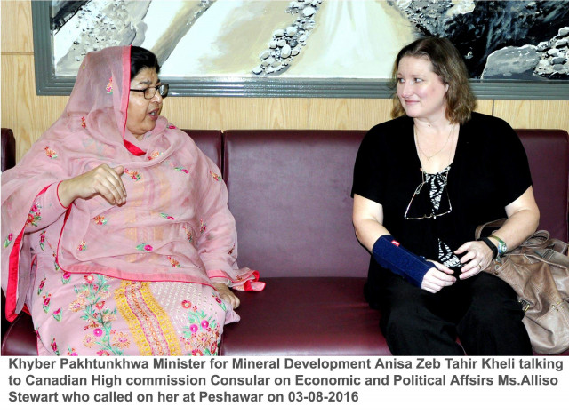 initially senior politician anisa zeb tahirkheli received the opportunity to represent the wpc by taking charge as the chairperson and now the command of the caucus is in the hand of lawmaker photo express initially senior politician anisa zeb tahirkheli received the opportunity to represent the wpc by taking charge as the chairperson and now the command of the caucus is in the hand of lawmaker photo express