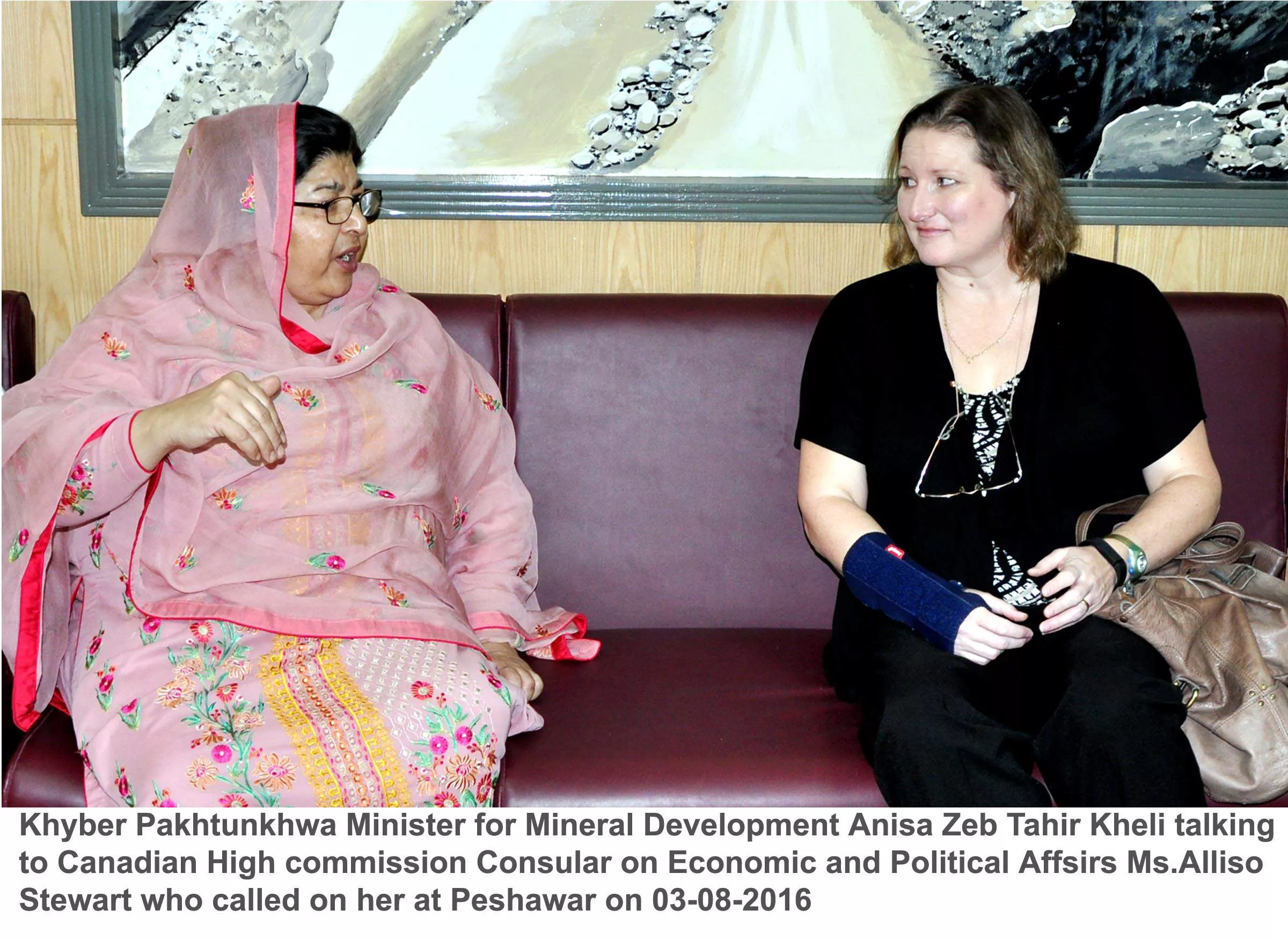 initially senior politician anisa zeb tahirkheli received the opportunity to represent the wpc by taking charge as the chairperson and now the command of the caucus is in the hand of lawmaker photo express initially senior politician anisa zeb tahirkheli received the opportunity to represent the wpc by taking charge as the chairperson and now the command of the caucus is in the hand of lawmaker photo express