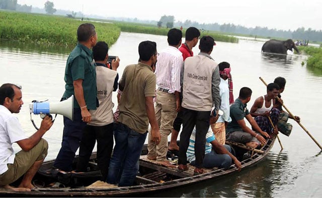 in this photograph taken on august 1 2016 bangladesh wildlife officials look on from a boat as they observe a wild elephant in a watercourse at sarishabari in jamalpur district some 150km north of dhaka photo afp