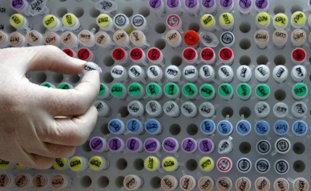 human genetic material is stored at a laboratory in munich may 23 2011 photo reuters human genetic material is stored at a laboratory in munich may 23 2011 photo reuters