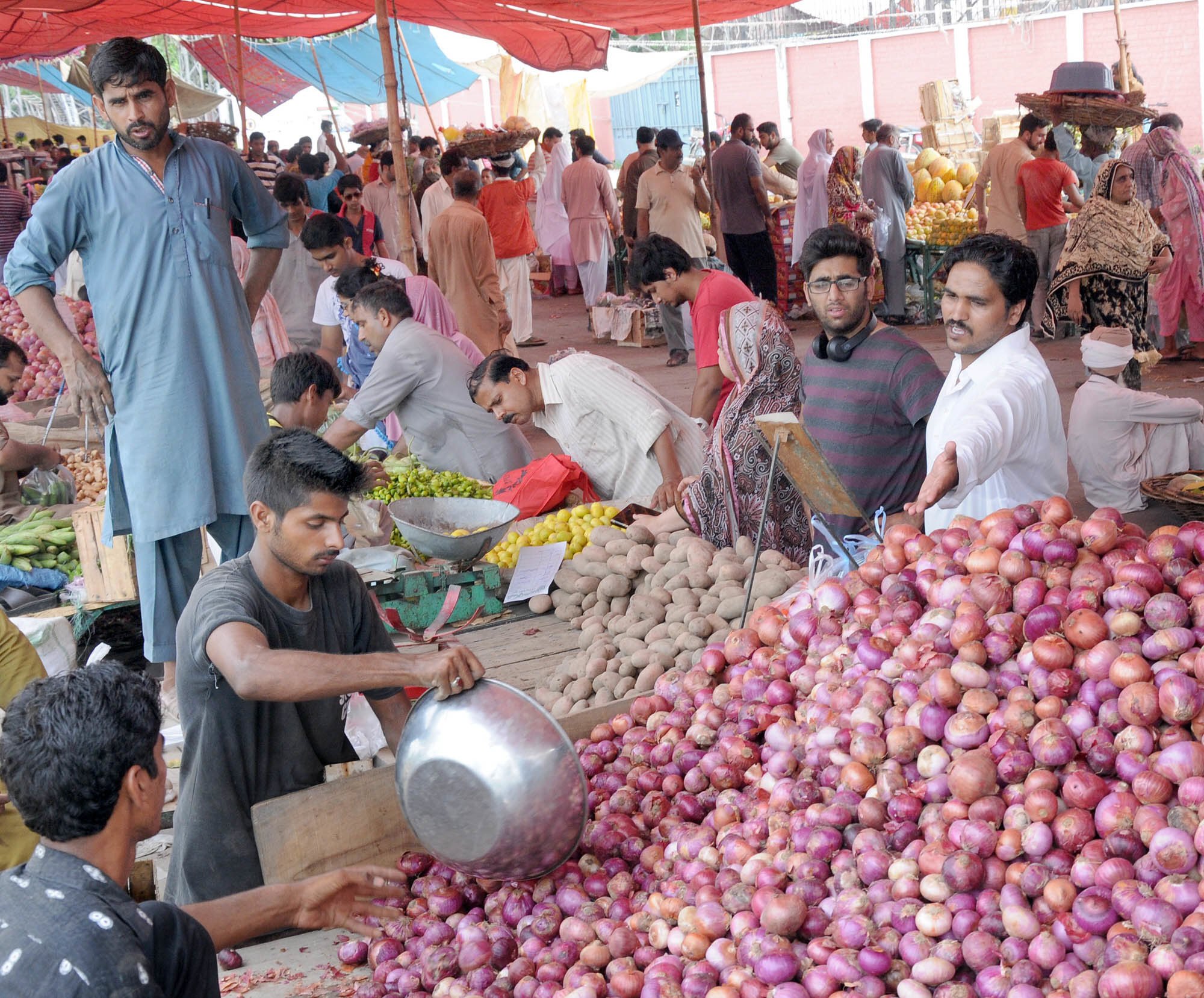 taro roots and potato prices were lower by five per cent during the week taro roots were available for rs51 to rs55 and potatoes for rs37 to rs40 per kg photo zahoorul haq express